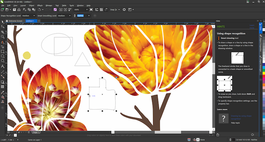 coreldraw online free use