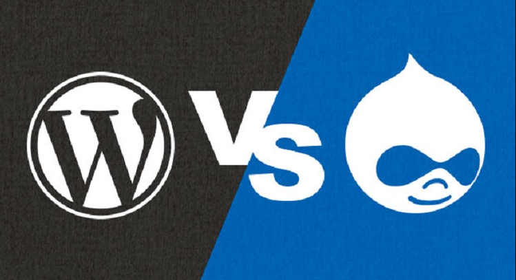 Drupal vs WordPress: Which Among Them is the best CMS?